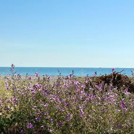Apartment Se103 - Montemarciano, Trilocale Fronte Mare Con Aria Condizionata *